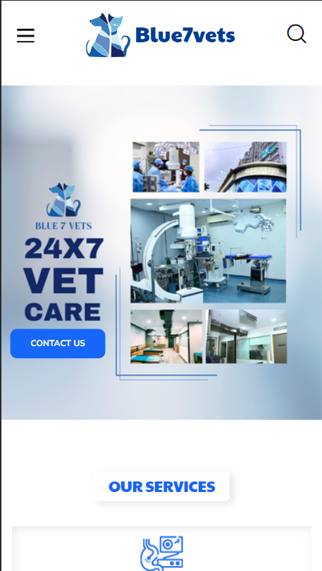 Blue7 Vets Healthcare
